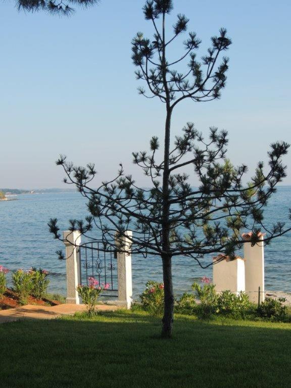 Apartments Erica Luxury Новиград Екстериор снимка